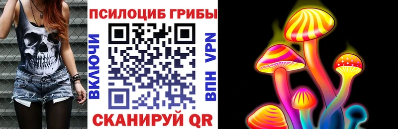 Псилоцибиновые грибы мухоморы  как найти закладки  Махачкала 